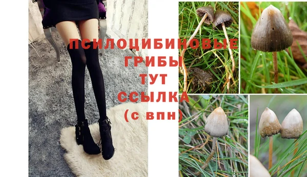 гашик Вязники