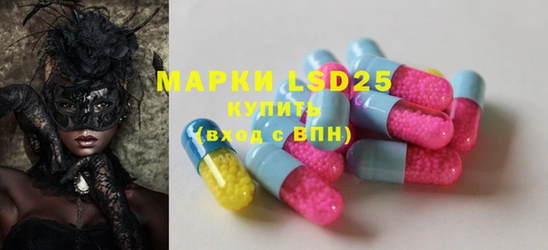 индика Вязьма