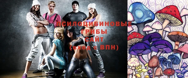 индика Вязьма