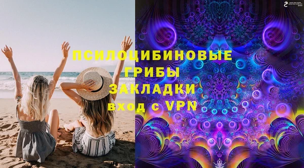 гашик Вяземский