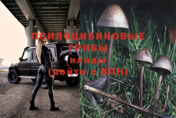 индика Вязьма