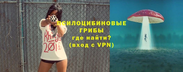 гашик Вяземский