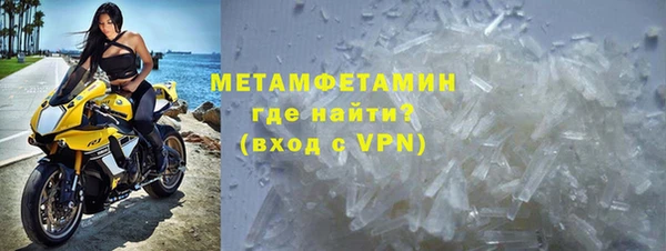 гашик Вяземский