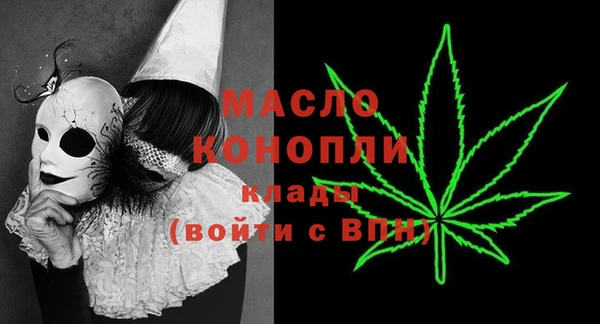 индика Вязьма