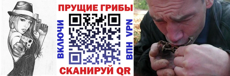 магазин    Заречный  Галлюциногенные грибы ЛСД 
